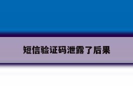短信验证码泄露了后果