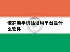 俄罗斯手机验证码平台是什么软件