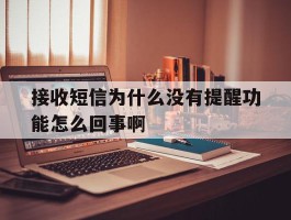 接收短信为什么没有提醒功能怎么回事啊