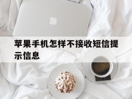 苹果手机怎样不接收短信提示信息