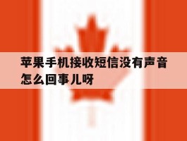 苹果手机接收短信没有声音怎么回事儿呀的简单介绍