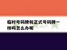 包含临时号码牌和正式号码牌一样吗怎么办呢的词条