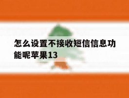 怎么设置不接收短信信息功能呢苹果13的简单介绍
