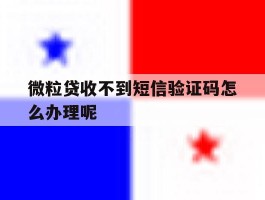微粒贷收不到短信验证码怎么办理呢