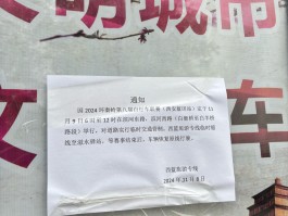 临时号牌车辆违停怎么处理