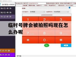 临时号牌会被拍照吗现在怎么办呢