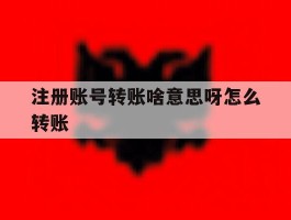 注册账号转账啥意思呀怎么转账