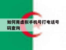 如何用虚拟手机号打电话号码查询