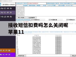 接收短信扣费吗怎么关闭呢苹果11