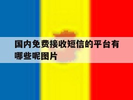 国内免费接收短信的平台有哪些呢图片