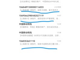 国内手机短信验证码平台怎么用的