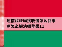关于短信验证码接收慢怎么回事啊怎么解决呢苹果11的信息