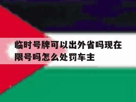 关于临时号牌可以出外省吗现在限号吗怎么处罚车主的信息