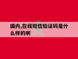 国内,在线短信验证码是什么样的啊