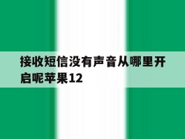 关于接收短信没有声音从哪里开启呢苹果12的信息