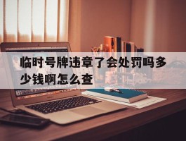 临时号牌违章了会处罚吗多少钱啊怎么查