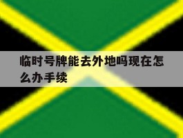 临时号牌能去外地吗现在怎么办手续