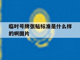 临时号牌张贴标准是什么样的啊图片