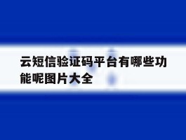 云短信验证码平台有哪些功能呢图片大全
