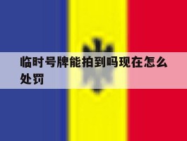 临时号牌能拍到吗现在怎么处罚