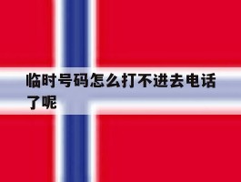 临时号码怎么打不进去电话了呢
