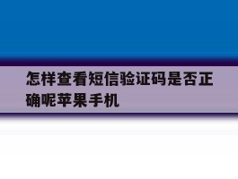 怎样查看短信验证码是否正确呢苹果手机