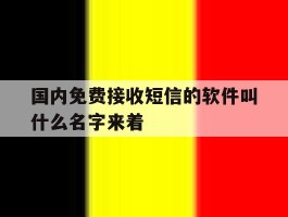 关于国内免费接收短信的软件叫什么名字来着的信息