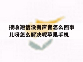 接收短信没有声音怎么回事儿呀怎么解决呢苹果手机的简单介绍