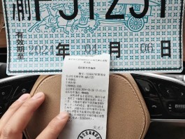 临时号牌会违章吗怎么处理的啊