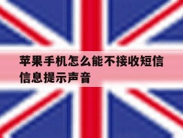 苹果手机怎么能不接收短信信息提示声音
