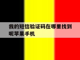 我的短信验证码在哪里找到呢苹果手机