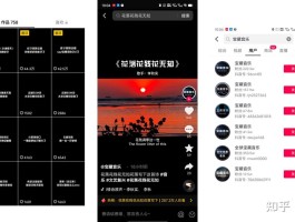 抖音接码项目是什么意思啊怎么弄的