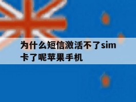 为什么短信激活不了sim卡了呢苹果手机的简单介绍