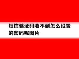 短信验证码收不到怎么设置的密码呢图片的简单介绍