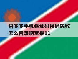 拼多多手机验证码接码失败怎么回事啊苹果11的简单介绍