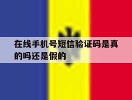 在线手机号短信验证码是真的吗还是假的