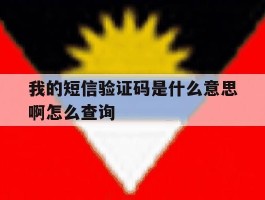 我的短信验证码是什么意思啊怎么查询