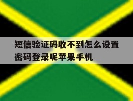 关于短信验证码收不到怎么设置密码登录呢苹果手机的信息