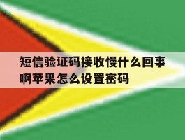 包含短信验证码接收慢什么回事啊苹果怎么设置密码的词条