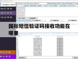 国际短信验证码接收功能在哪里