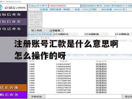注册账号汇款是什么意思啊怎么操作的呀的简单介绍