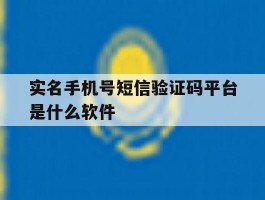 实名手机号短信验证码平台是什么软件