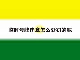 临时号牌违章怎么处罚的呢