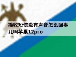 包含接收短信没有声音怎么回事儿啊苹果12pro的词条
