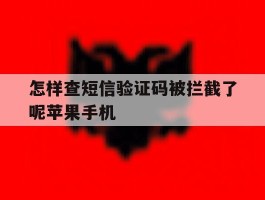 怎样查短信验证码被拦截了呢苹果手机