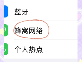 虚拟手机号打电话安全吗苹果13怎么打