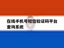 在线手机号短信验证码平台查询系统